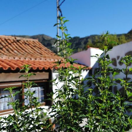 Ilusiones Villa Tejeda Kültér fotó