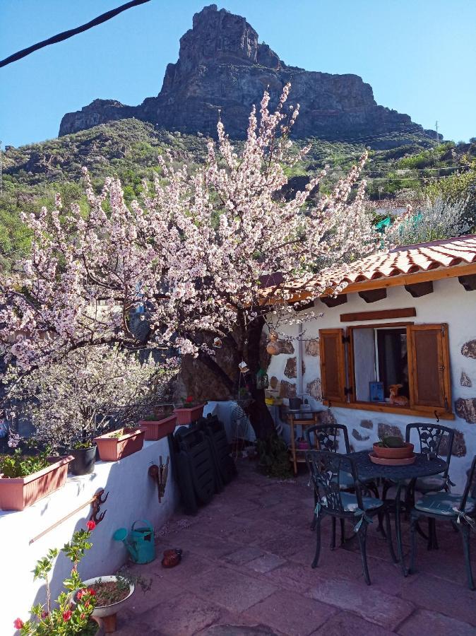 Ilusiones Villa Tejeda Kültér fotó