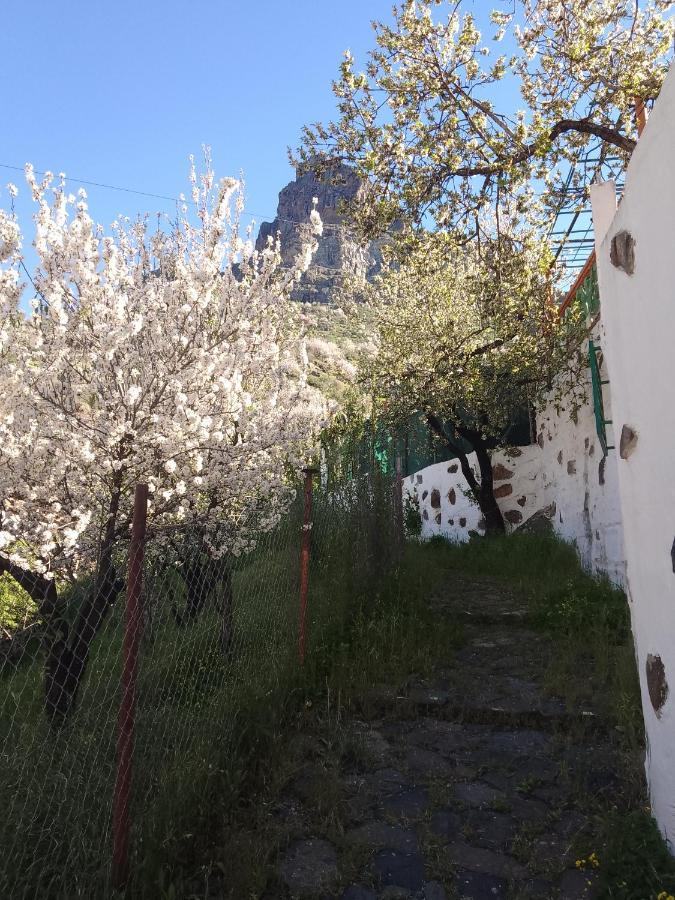 Ilusiones Villa Tejeda Kültér fotó