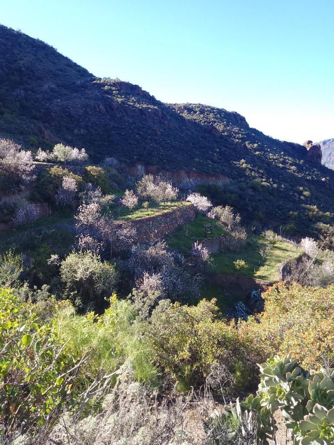 Ilusiones Villa Tejeda Kültér fotó