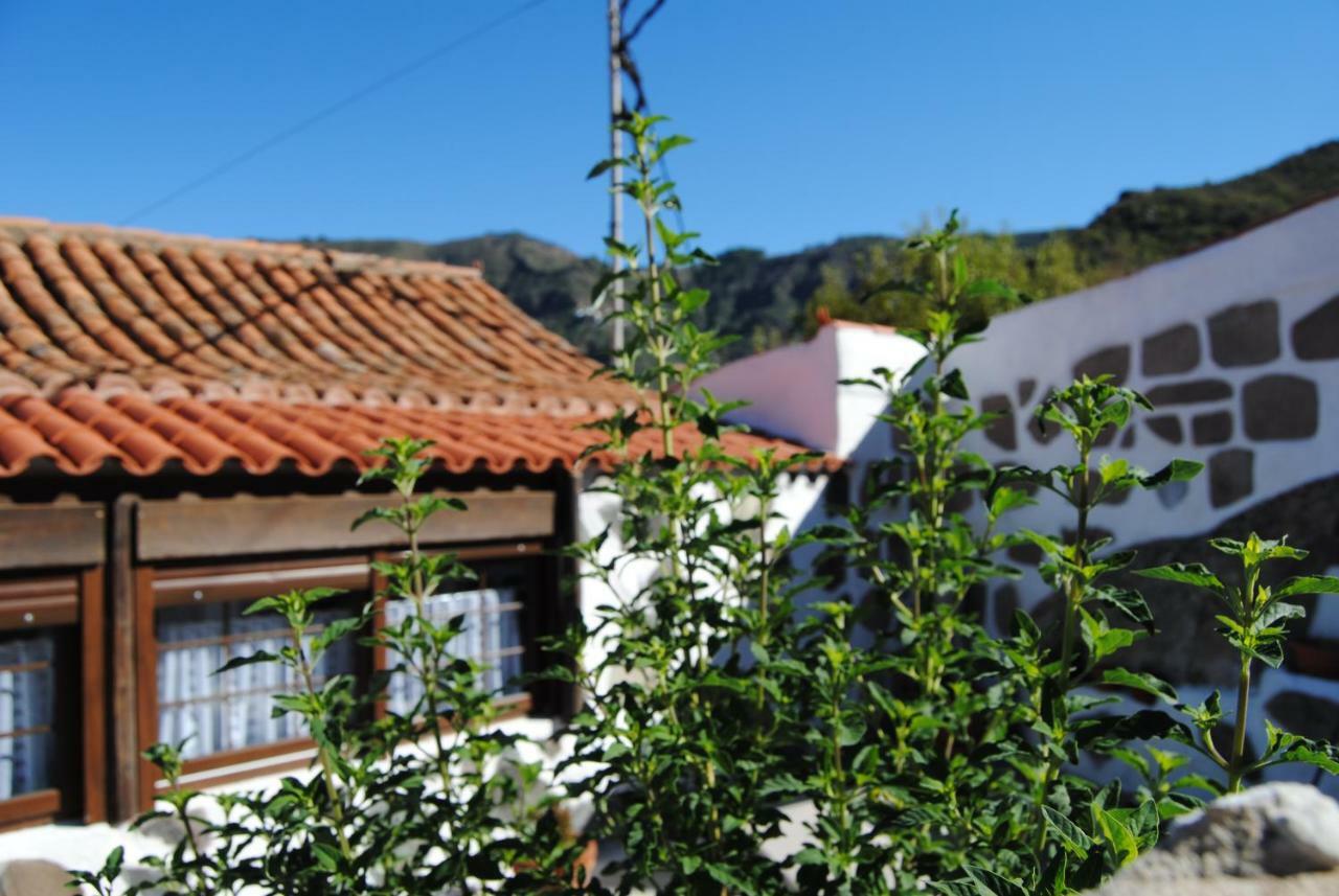 Ilusiones Villa Tejeda Kültér fotó
