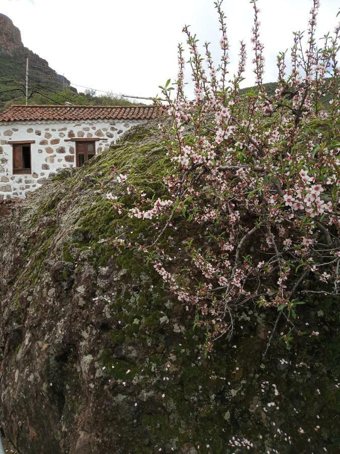 Ilusiones Villa Tejeda Kültér fotó